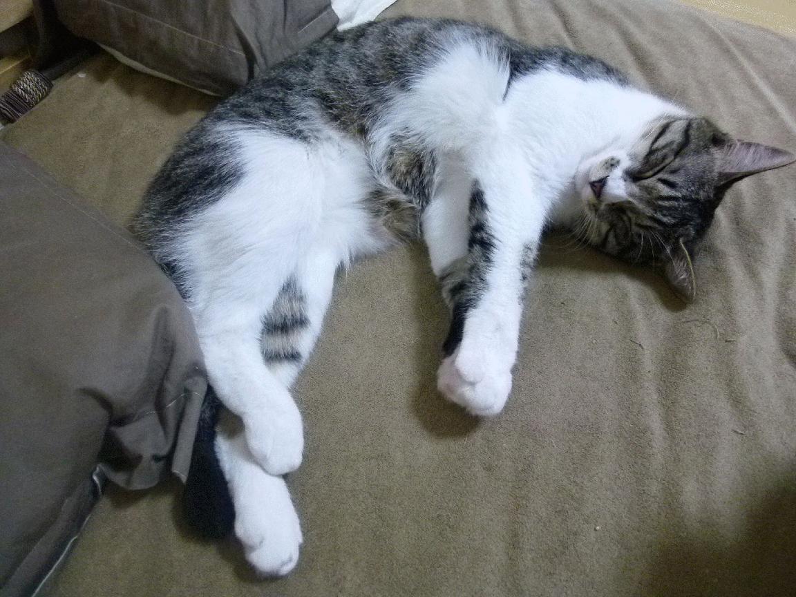 恩波利防守压迫性增强控制比赛节奏,恩波利亚