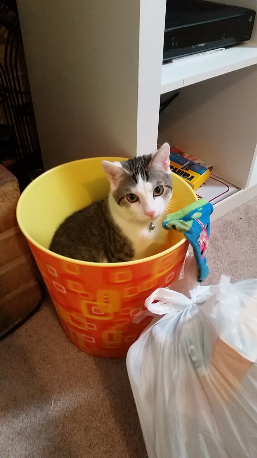 九游用户空间-斯洛伐克女篮在欧洲预赛中表现优异，冲击奥运资格，斯洛伐克女子篮球锦标赛