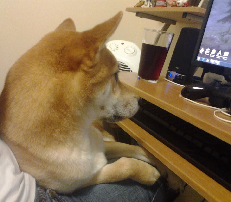 智能监测设备助力运动员科学训练和健康管理,智能运动侦测