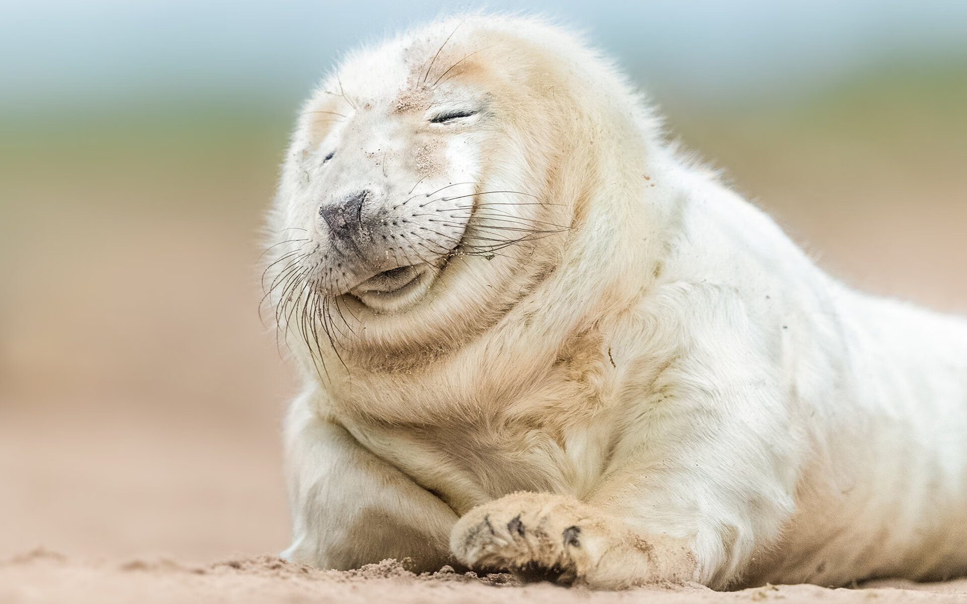 九游-瑞安：全黑队的新生力量，为球队注入无穷活力，瑞安扫黑