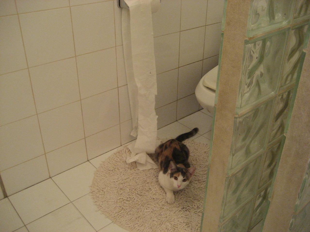 马刺球员赛后与小球迷合影温馨满满,马刺队球迷