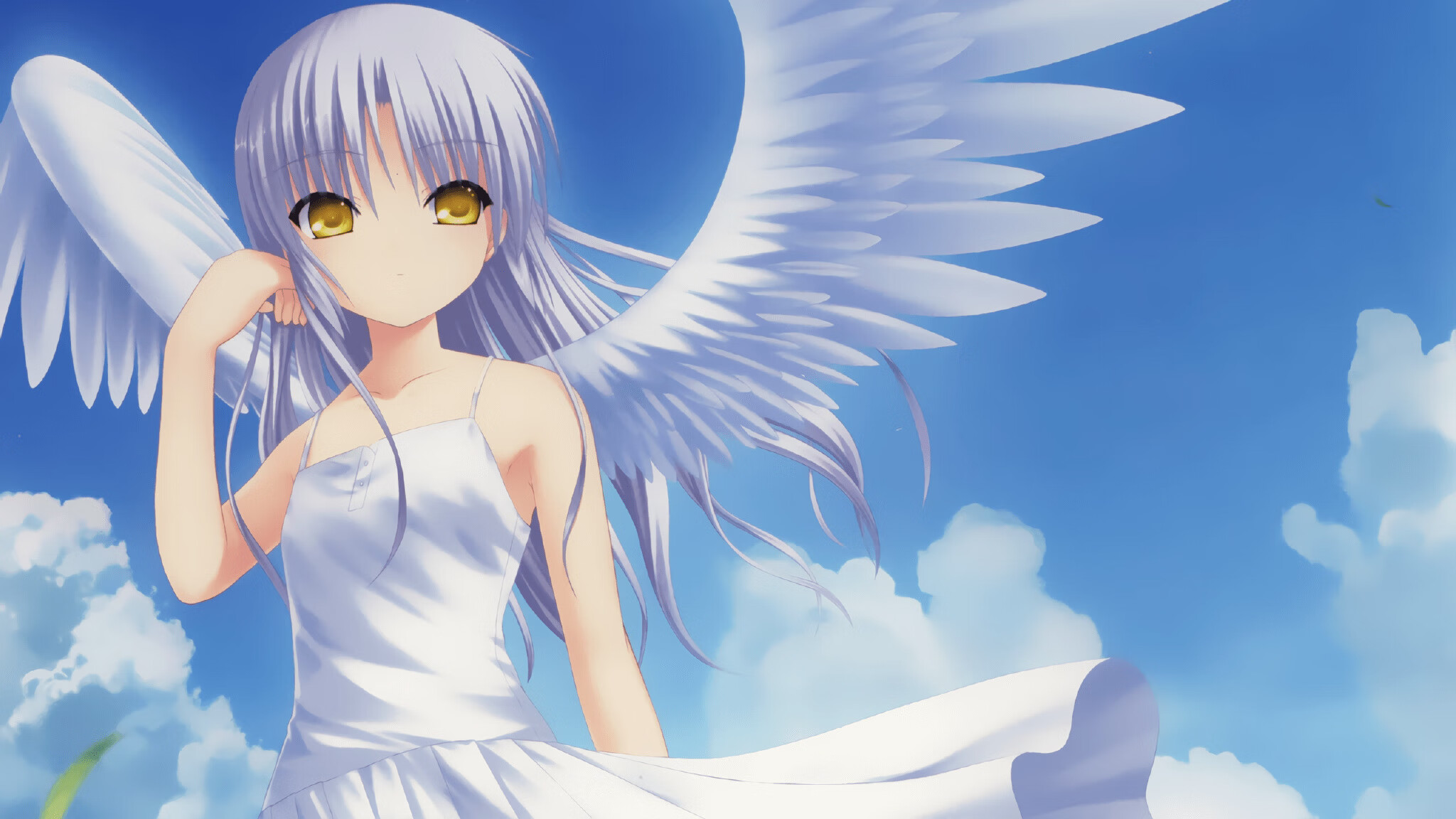 九游app官网下载-NCAA冠军逆袭记！当球童成就网球梦！，ncaa volleyball