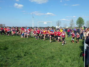 九游娱乐中心-中国篮球体教融合中学校体育与专业训练的冲突平衡，体教融合是未来体育人才培养选拔的唯一途径