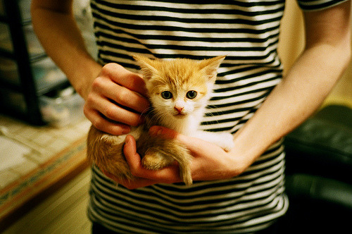 -创业板指走弱，投资者关注资金去向，创业板关注的是