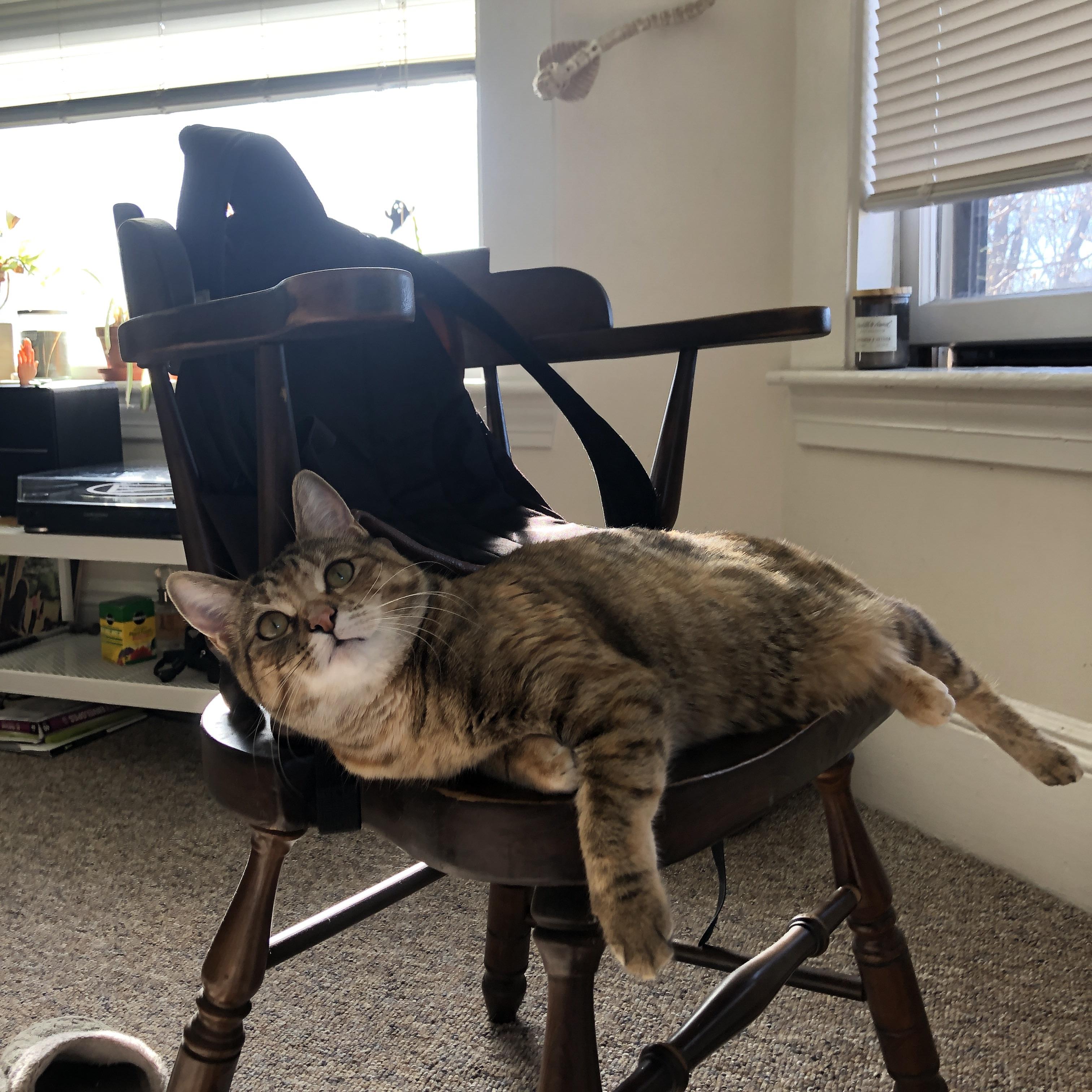 九游网页版官网入口-努涅斯与穆里尼奥合作前景被看好，帕切科分析，努涅斯足球俱乐部