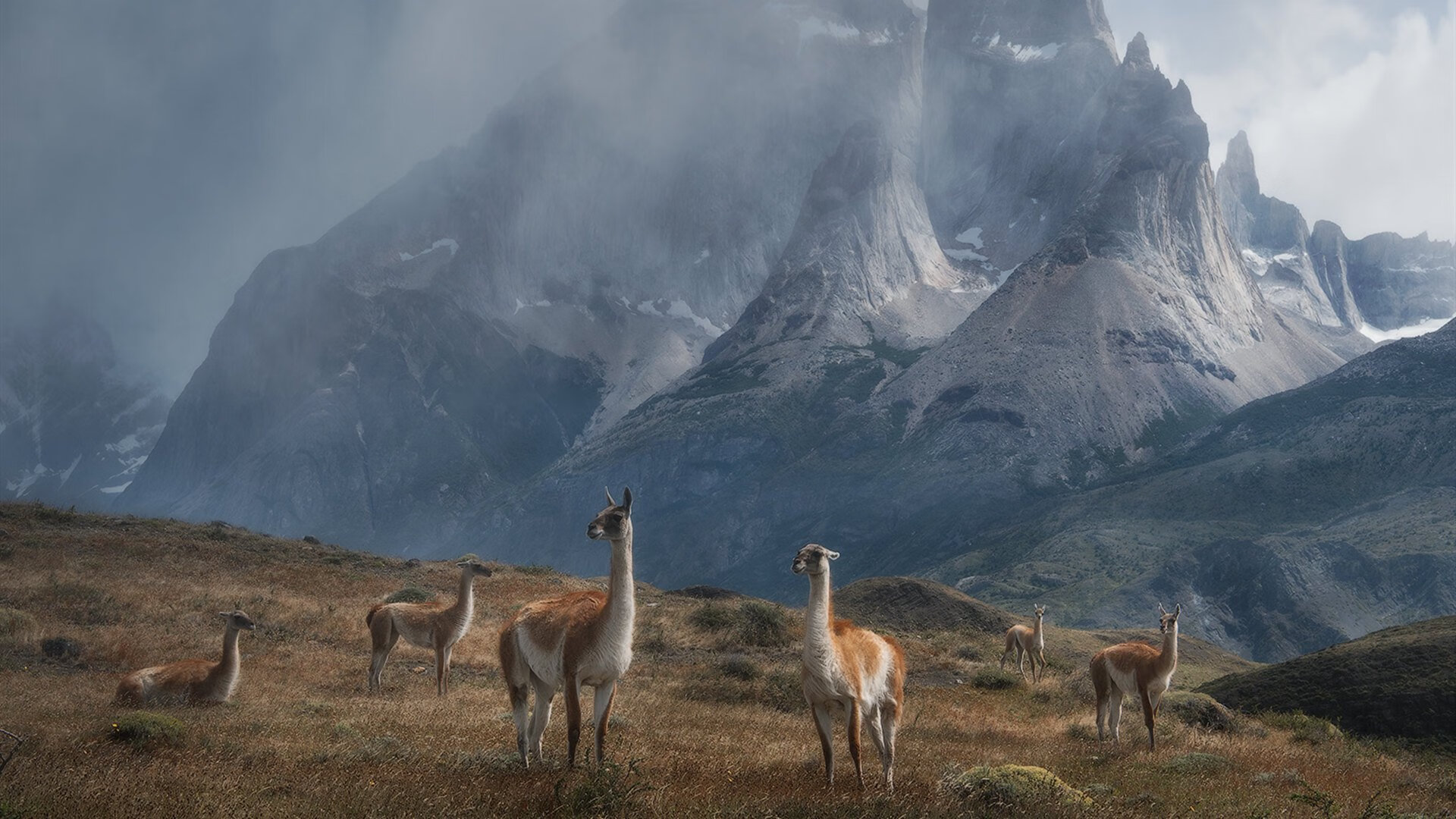 周三003欧冠激战,拜仁对阵切尔西全面解析,拜仁对切尔西欧冠决赛