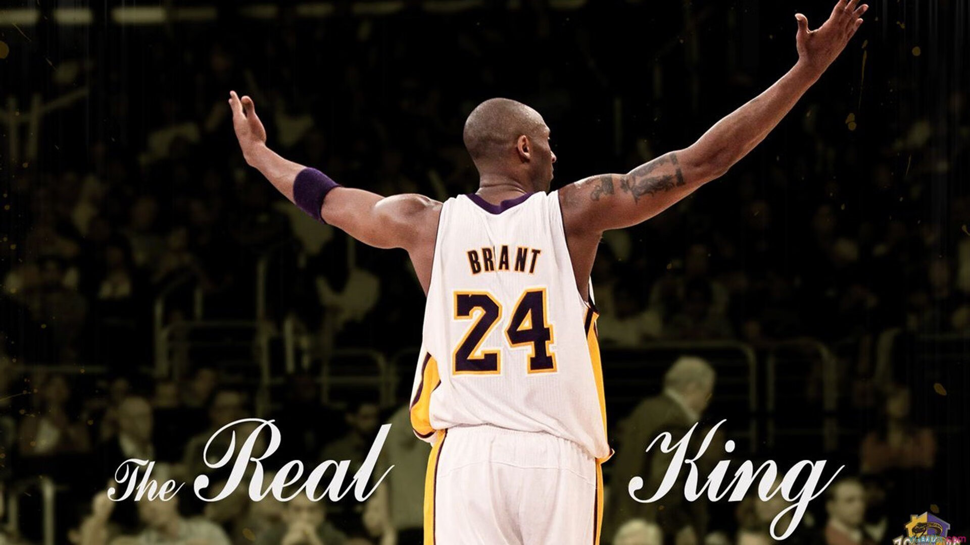 最震撼扣篮之一，最震撼扣篮之一是什么